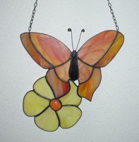 /album/kepgaleri/vlinder-jpg/